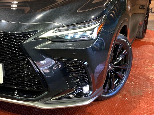 Lexus NX 12