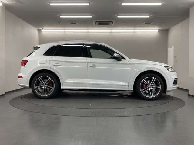 Audi SQ5 6