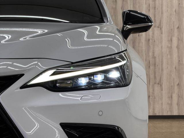 Lexus NX 12