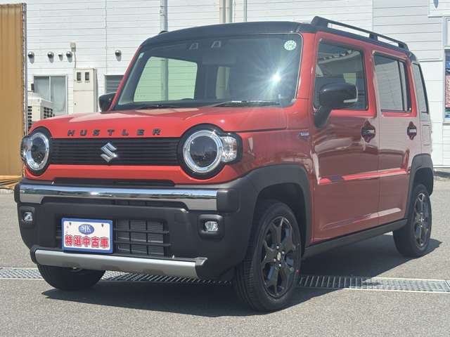 Suzuki Hustler 10
