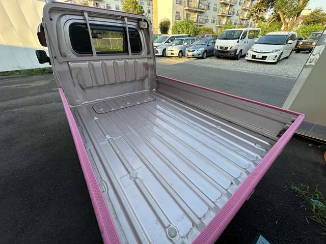 Toyota Pixis Truck 12