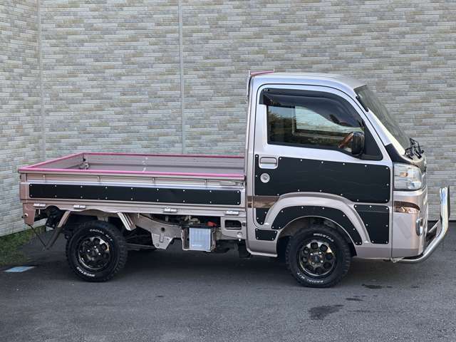 Toyota Pixis Truck 5