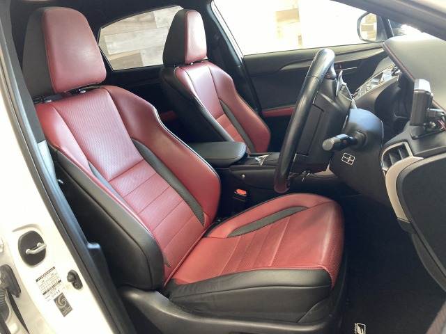 Lexus NX 12