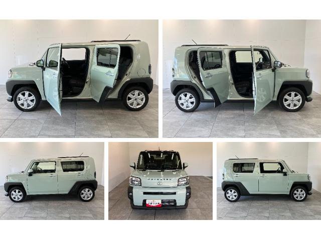 Daihatsu Taft 8