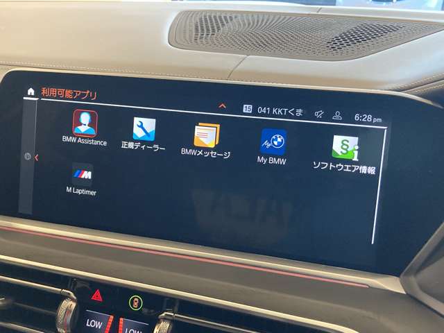 BMW X7 10