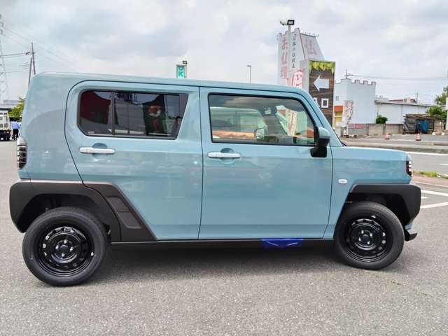 Daihatsu Taft 12