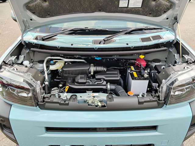 Daihatsu Taft 8