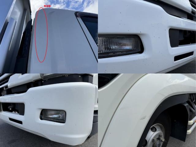 Isuzu Forward 11