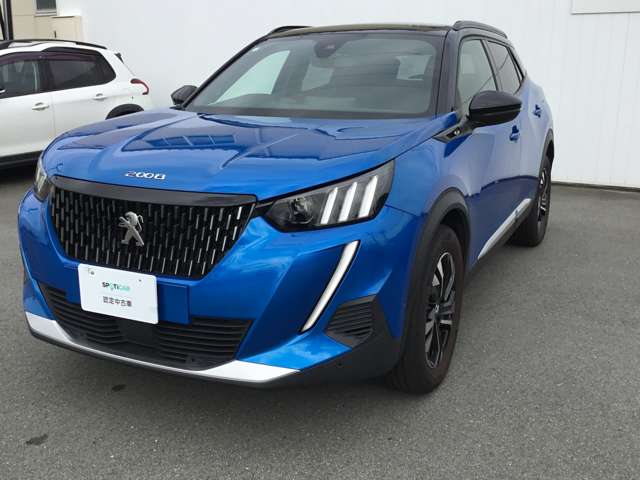 Peugeot SUV 2008 8