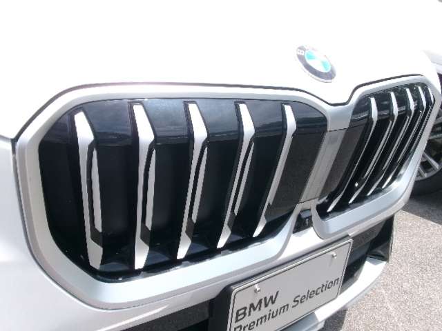 BMW X1 10
