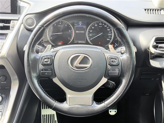 Lexus NX 11