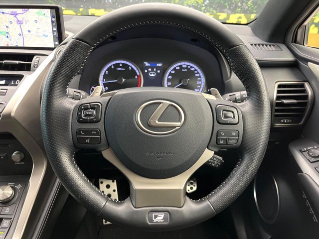 Lexus NX 11