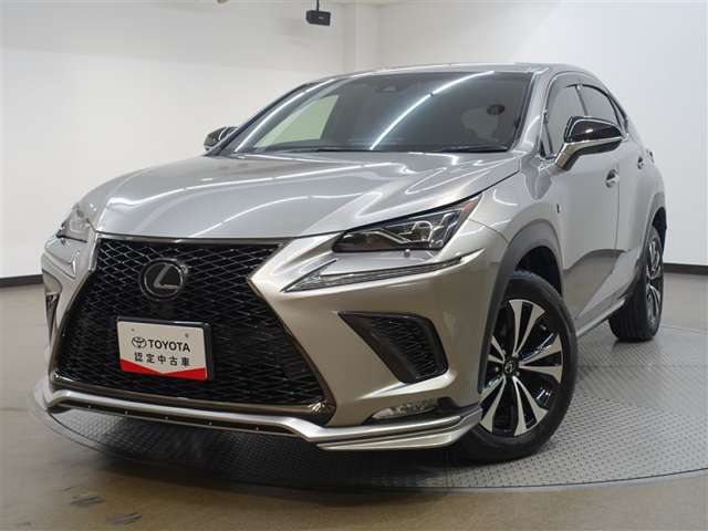 Lexus NX 6