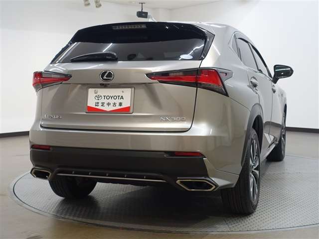 Lexus NX 8