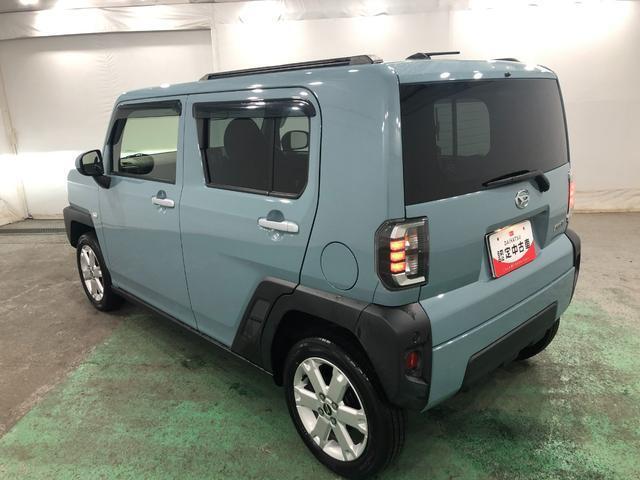 Daihatsu Taft 6