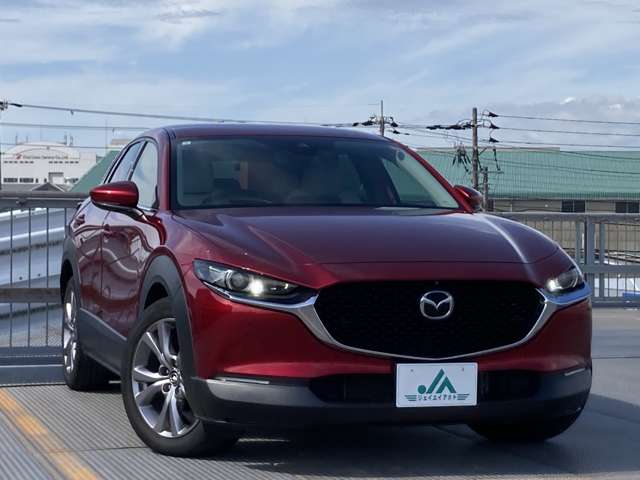 Mazda CX-30 11