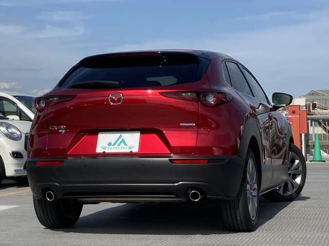 Mazda CX-30 9