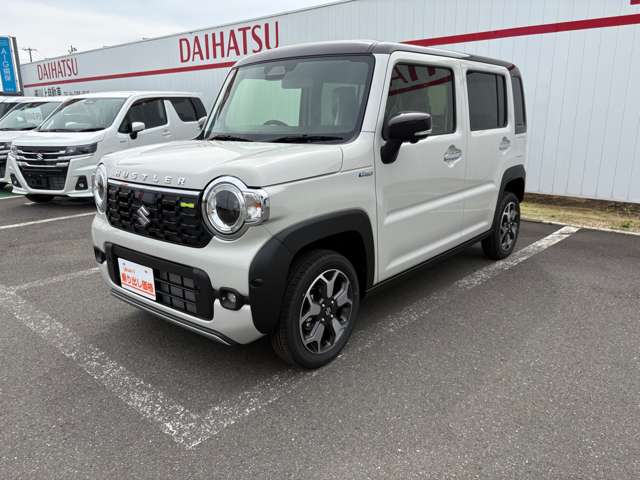 Suzuki Hustler 11