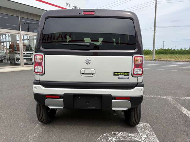 Suzuki Hustler 12
