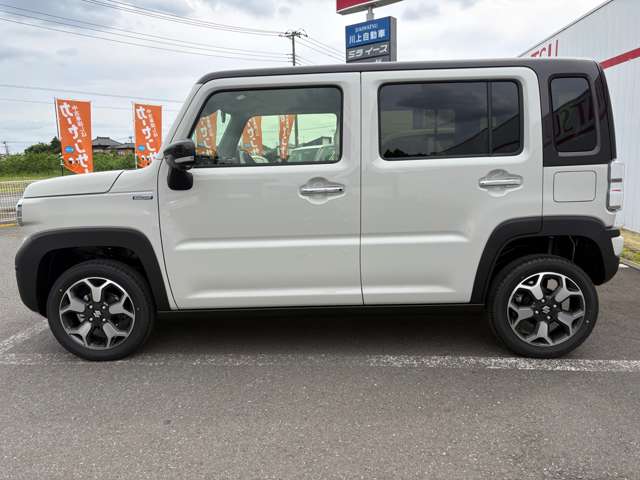 Suzuki Hustler 10