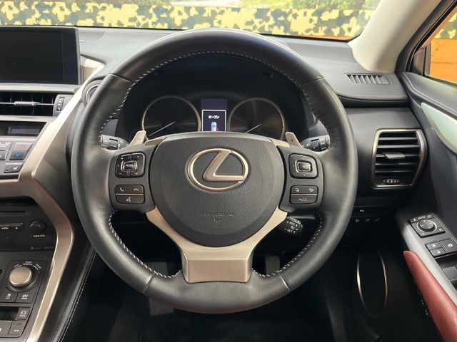 Lexus NX 11