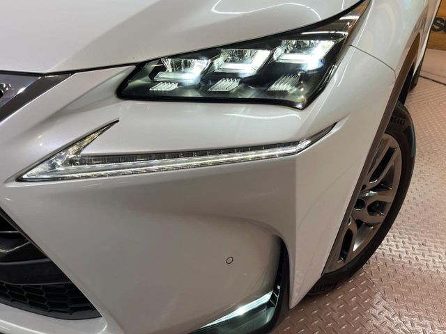 Lexus NX 12