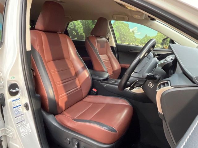 Lexus NX 8
