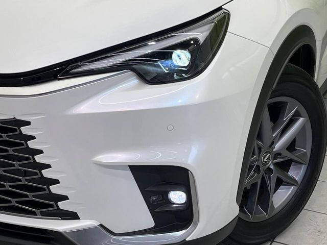 Lexus LBX 12