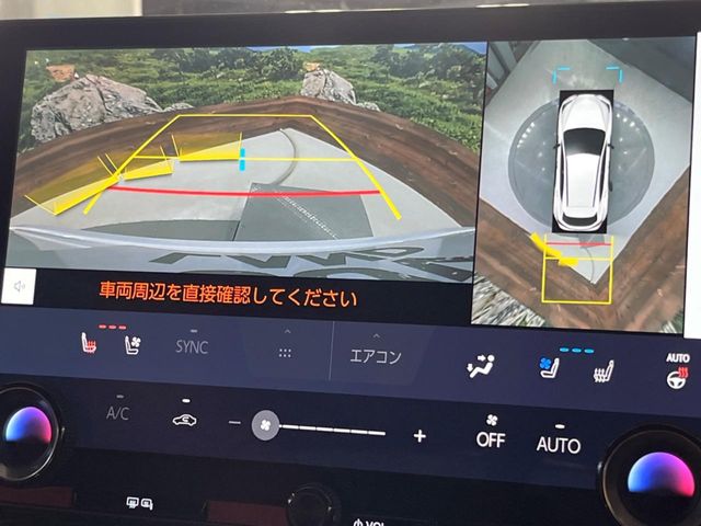 Lexus NX 6