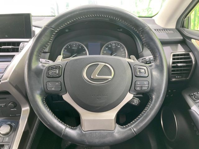 Lexus NX 11