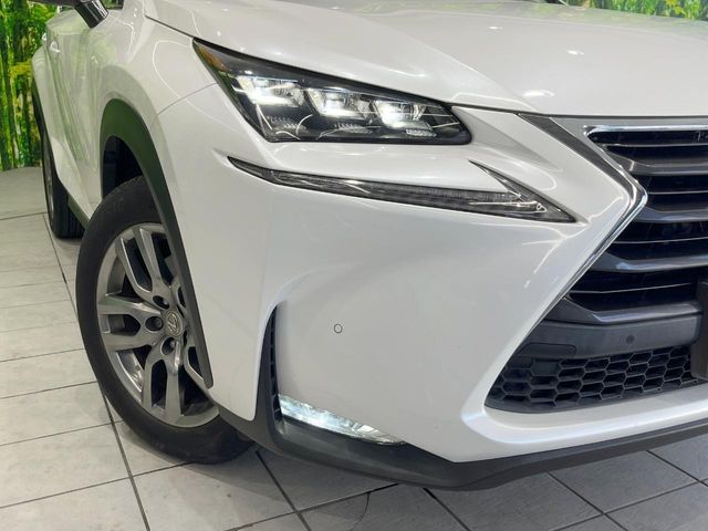 Lexus NX 12
