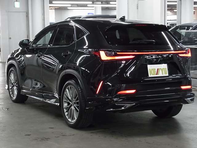 Lexus NX 11