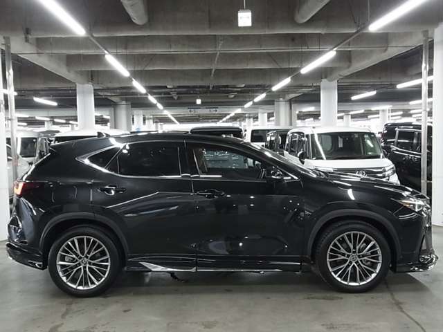 Lexus NX 12