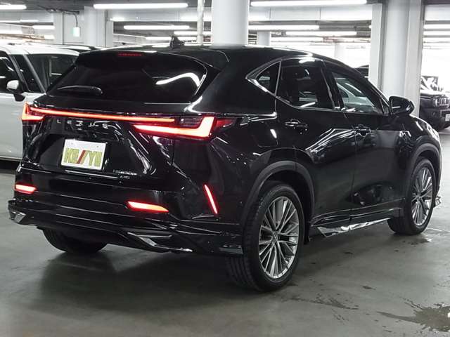Lexus NX 6