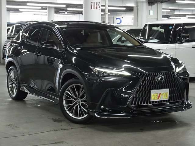 Lexus NX 8
