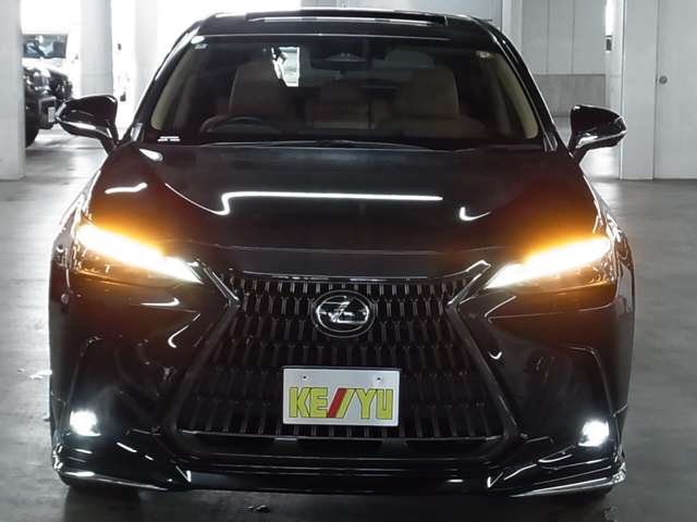 Lexus NX 9