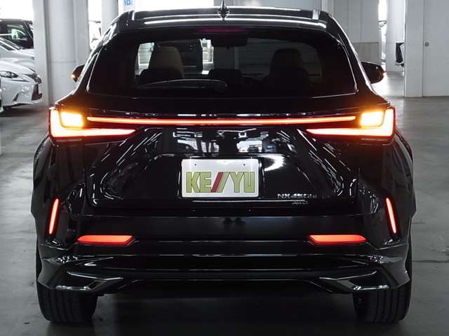 Lexus NX 10