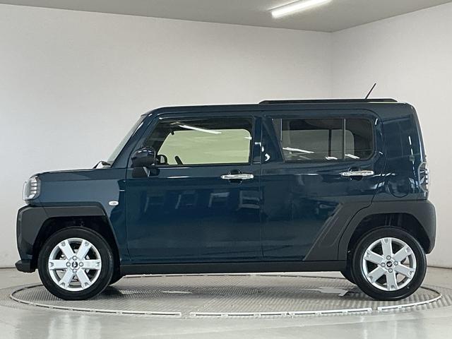 Daihatsu Taft 11