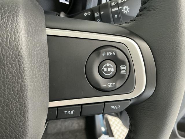 Daihatsu Taft 6
