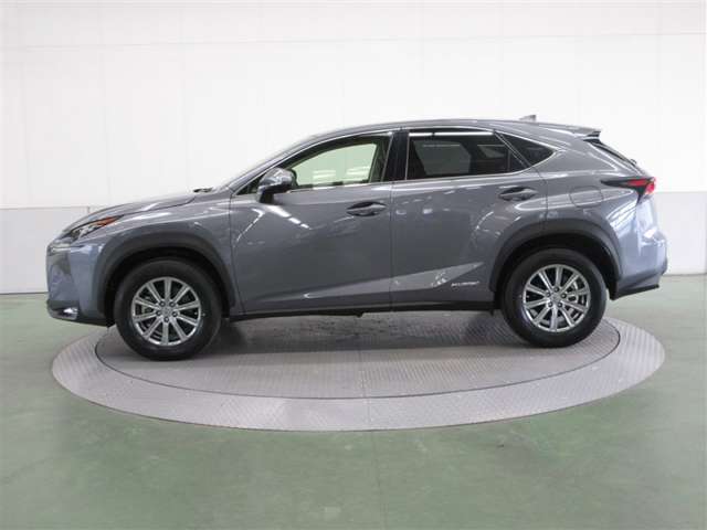 Lexus NX 4