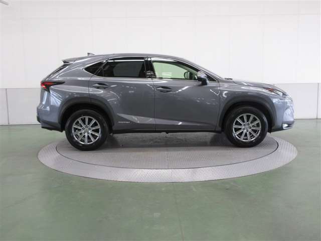 Lexus NX 5