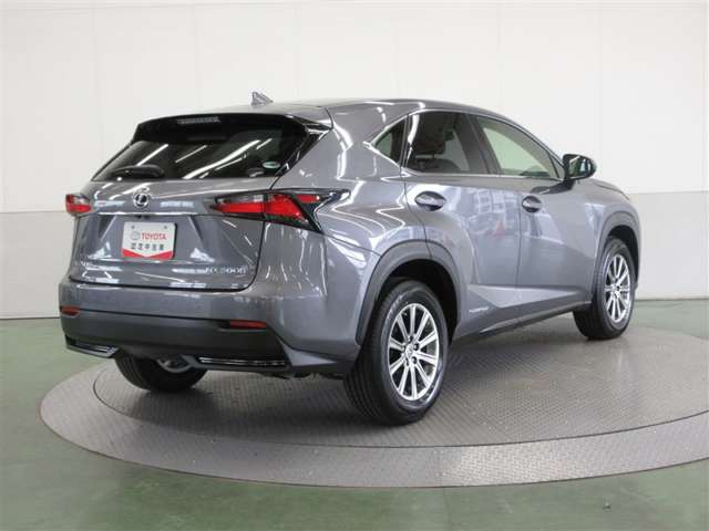 Lexus NX 6