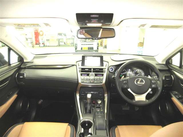 Lexus NX 7