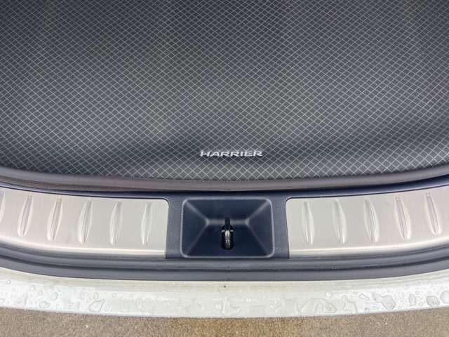 Toyota Harrier 12