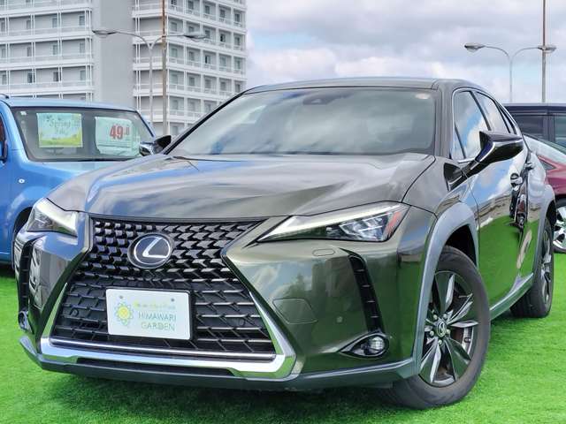 Lexus UX 12