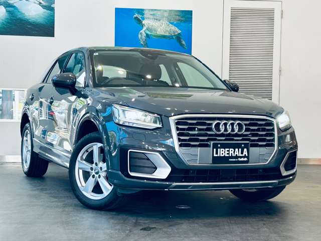 Audi Q2 6