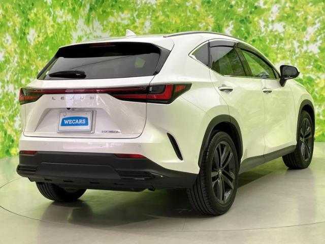 Lexus NX 6