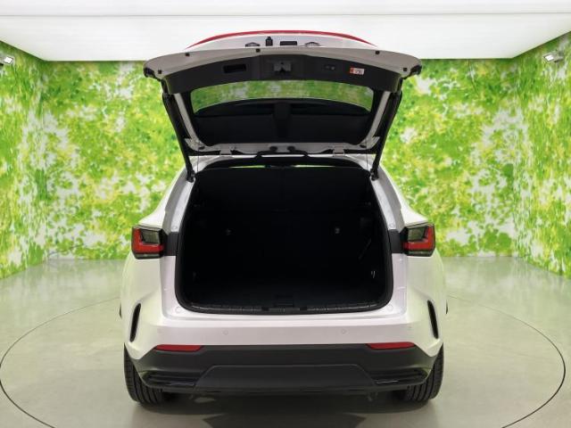 Lexus NX 10