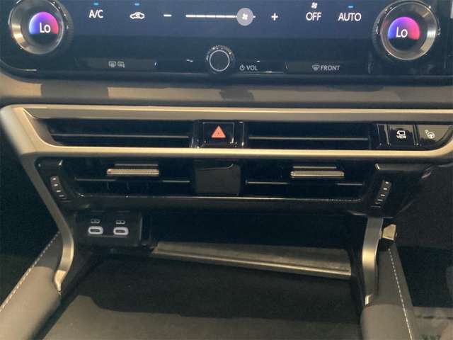 Lexus RX 11