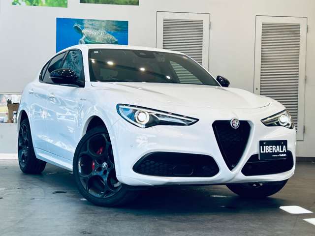 Alfa Romeo Stelvio 6